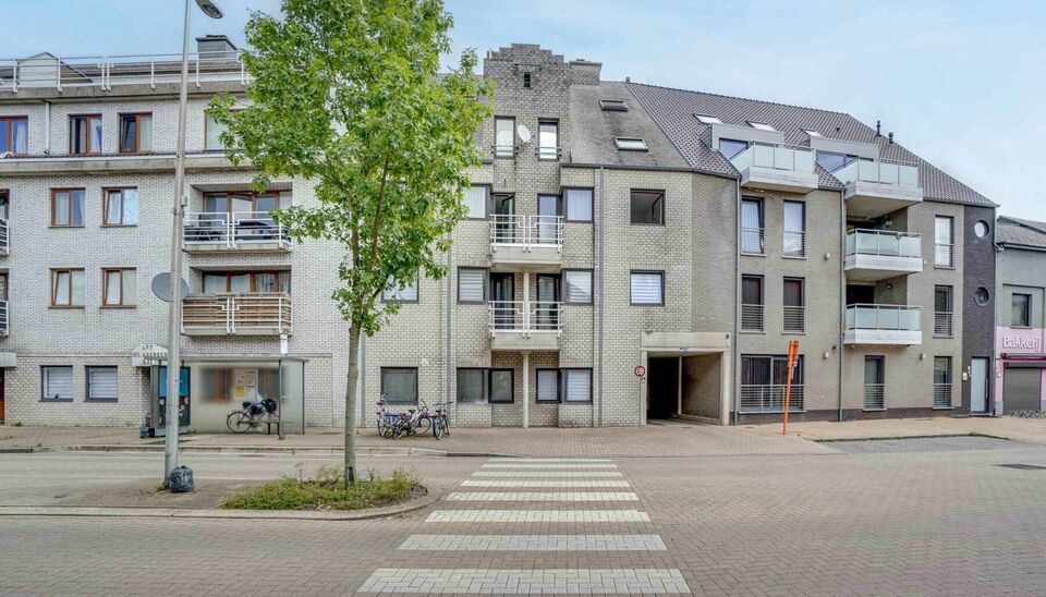 Langs de Koning Boudewijnlaan 52 vinden we in Genk dit modern gerenoveerde gelijkvloers appartement terug. Deze locatie staat garant voor een vlotte bereikbaarheid naar Genk centrum en naar omliggende steden zoals Hasselt en Houthalen. Nomadland, Labiomis